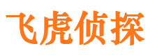 晴隆寻人公司